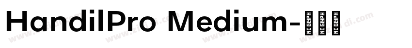 HandilPro Medium字体转换